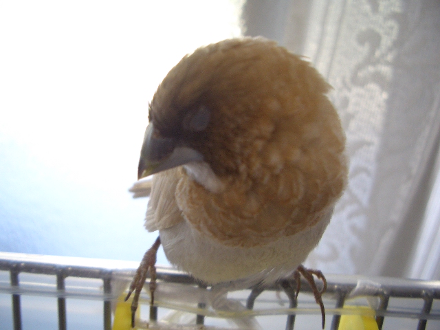 CIMG5900.JPG